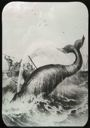 Image of Harpooning Whale, Engraving